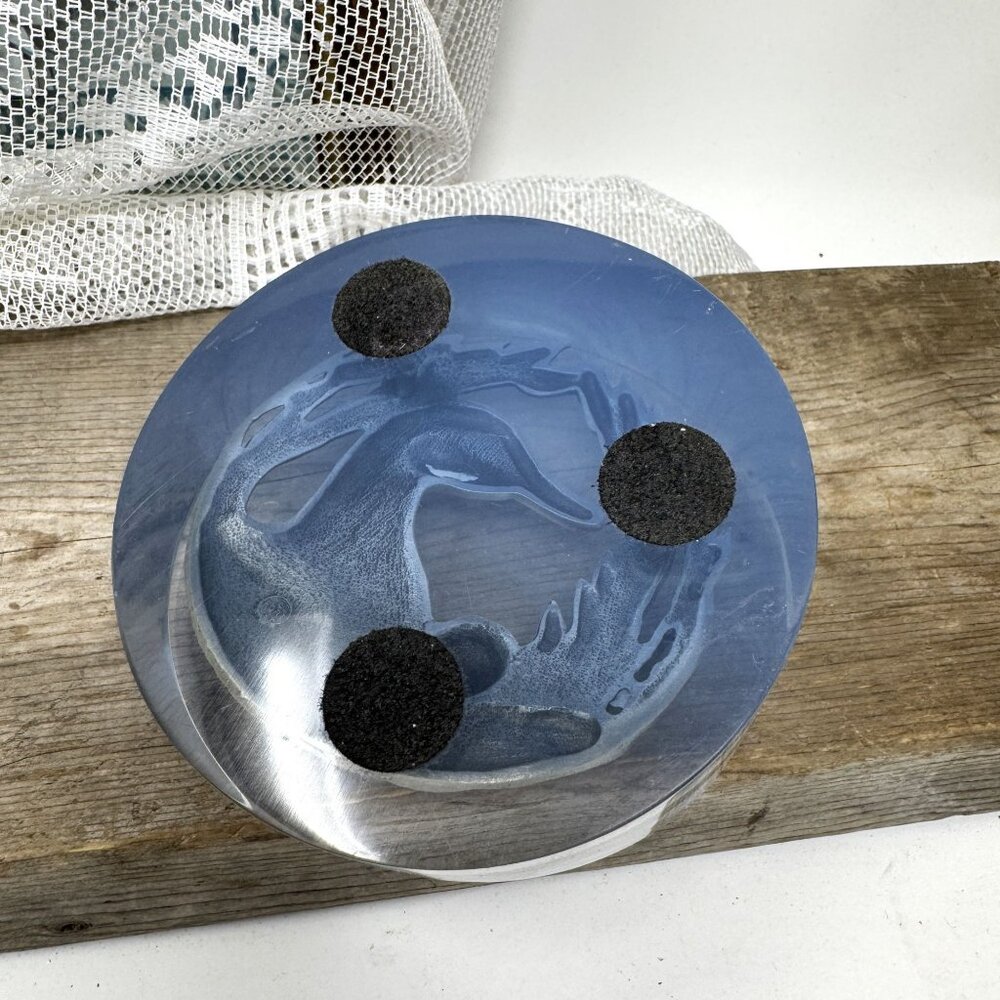 Vintage 3D Lucite Sculpture Duck Family Oval Paperweight Collectible Table Decor - Picture 7 of 10